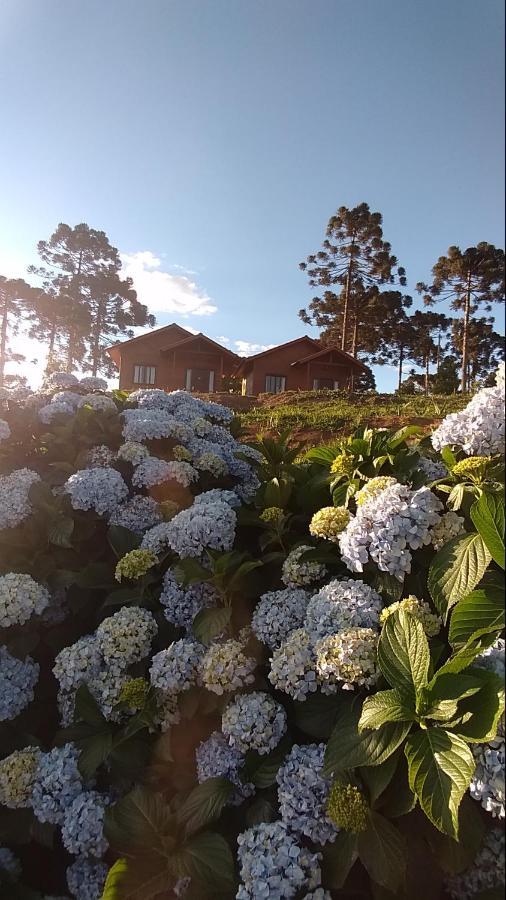 Sossego Da Serra Alojamento de Turismo Selvagem