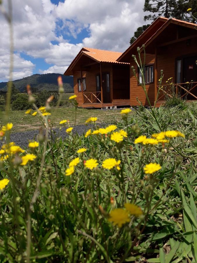 Sossego Da Serra Alojamento de Turismo Selvagem